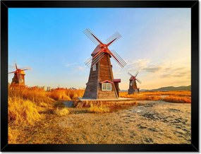 Poszterek keretben 40x30 Fa szélmalom Tájképek