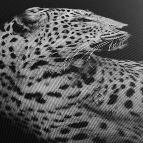 Kép - Leopárd (órával) (90x30 cm)