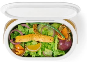 Fehér komposztálható hulladék gyűjtő 4 l Bellwood – Umbra