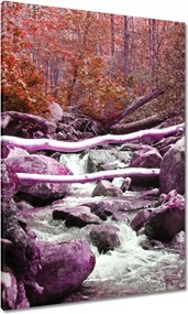 Vászonkép 70x100 Lila zuhatag