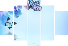 Kép - Pillangó orchidea virágon, kék (150x105 cm)