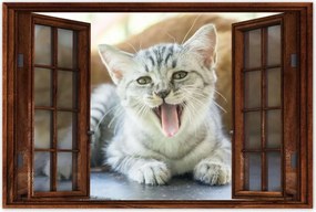 Poszterek 120x80 Cica Cicák Macskák