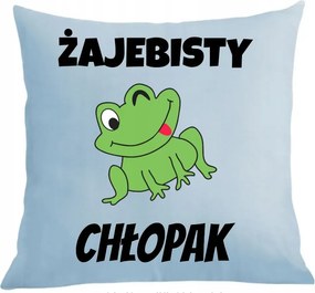 Párna párnahuzat Ajándék Békás Fiú