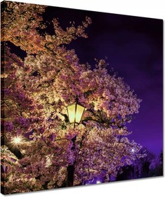 Vászonkép 40x40 Éjszakai motívum a nappaliba