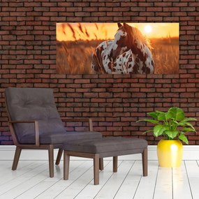 Kép - Ló naplementében (120x50 cm)