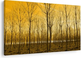 Egy erdő naplementekor képe (90x60 cm)