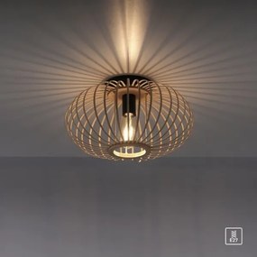 Leuchten Direkt 11410-79 - Felületre szerelhető csillár RACOON 1xE27/40W/230V átm. 40 cm