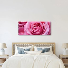 Rózsa képe (120x50 cm)