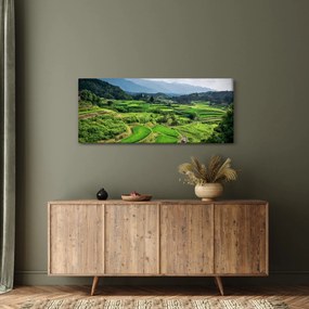 Rizsmező képe (120x50 cm)
