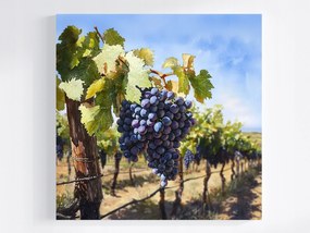 Vászonkép Canvas Szőlő Ősz Táj 80x80