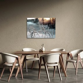 Üveg kép - Fagyott rét (70x50 cm)