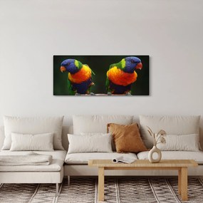 Papagájok képe (120x50 cm)