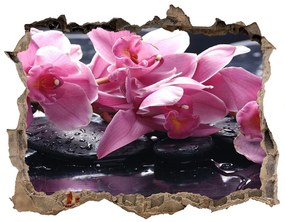 Lyuk 3d fali matrica Rózsaszín orchidea nd-k-28903356