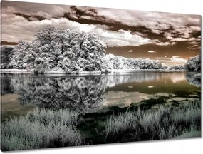 Festmények 120x80 Tájkép Infravörös Ir