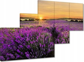 Képek 150x105 Levendula naplemente