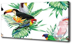Vászonkép Trópusi madarak oc-82973697