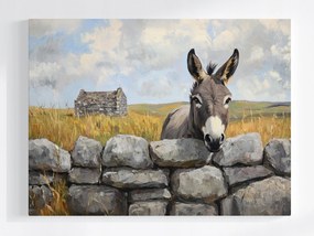 Vászonkép Canvas Természet Írország Fal Szamár 100x75