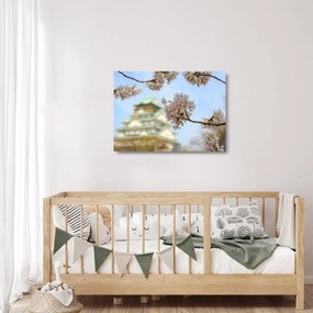 Üveg kép - Sakura (70x50 cm)