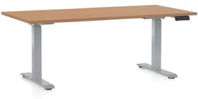 OfficeTech D állítható magasságú asztal, 160 x 80 cm, szürke alap, bükkfa