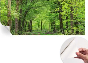 Öntapadós tapéta Divatos 3D fali ragasztóval Erdei ösvény 250x104 cm