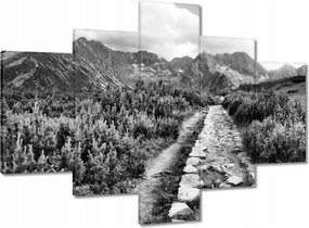 Képek 100x70 Tátra Lengyel hegyek Kilátás