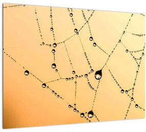 Egy harmatos pókháló képe (üvegen) (70x50 cm)