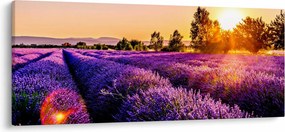 A levendula mező képe, Provence (120x50 cm)