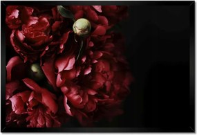 Poszter keretben 60x40 Bazsarózsa bordó hangulatban