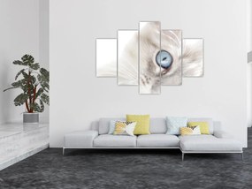 Kép - Kék szemű macska (150x105 cm)