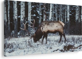 Kép - szarvas télen (90x60 cm)