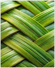 Poszterek 40x50 Zöld fonott zöld rattan fonott lemez