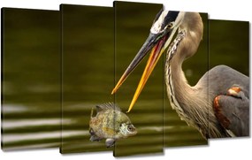 Vászonkép 100x60 Kalapos madár Tájkép Kilátás