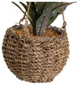 Műnövény (magasság 25 cm) – Casa Selección