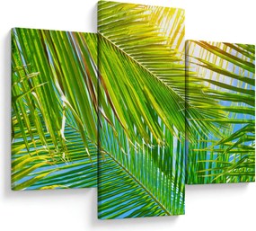 Kép - Pálmalevelek (90x60 cm)