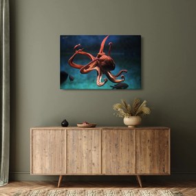 Kép - Octopus (90x60 cm)