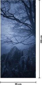 Fotótapéta ajtóra - Sötét erdő (95x205cm)