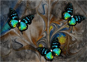 Kép - fényes pillangók képben (üvegen) (70x50 cm)