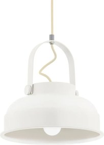 Argon DAKOTA 8284 Függőlámpa 1x15W/E27 IP20