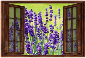 Poszterek 90x60 Levendula virágok