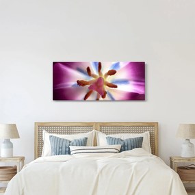 Kép - Tulipán virág részletesen (120x50 cm)