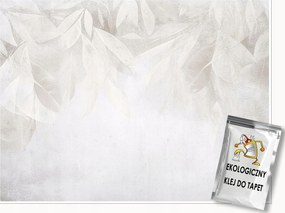 Fotótapéta Levelek Beton Szürke Loft Boho Hálószoba Nappali Tapéta 300x210