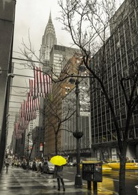 Poszter 42x59,4cm Nő sárga esernyővel New York utcáin, Assaf Fr