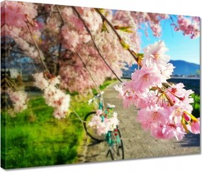 Vászonkép 40x30 Kerékpáros túra