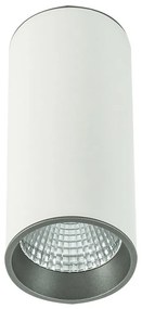 ITALUX SLC7392-12W-4000K MOLDES Hengeres Mennyezeti Lámpa Fehér, Szürke LED IP20