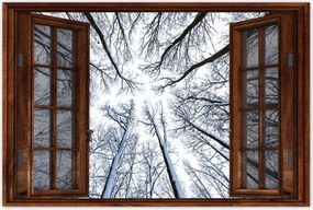 Poszterek 60x40 Fa Fák Kilátás