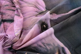 Gyerek ágynemű MAGIC HORSE színes Ágyneműhuzat mérete: 50 x 75 cm | 140 x 200 cm