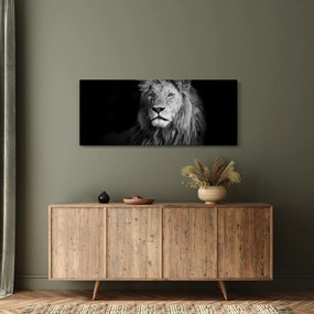 Kép - Oroszlán, fekete-fehér (120x50 cm)