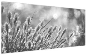 Kép - Bézs színű puha fű N⁰1 (120x50 cm)