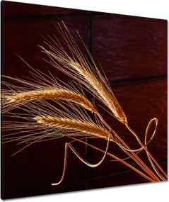 Vászonkép 90x90 Teljes kalászok