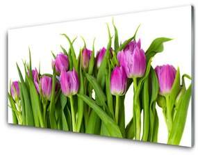 Akrilkép Tulipán virágok Plant 100x50 cm 2 fogas